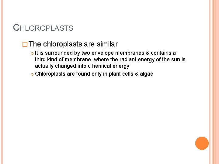 CHLOROPLASTS � The chloroplasts are similar It is surrounded by two envelope membranes &