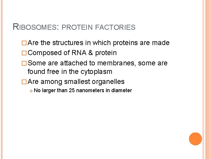 RIBOSOMES: PROTEIN FACTORIES � Are the structures in which proteins are made � Composed