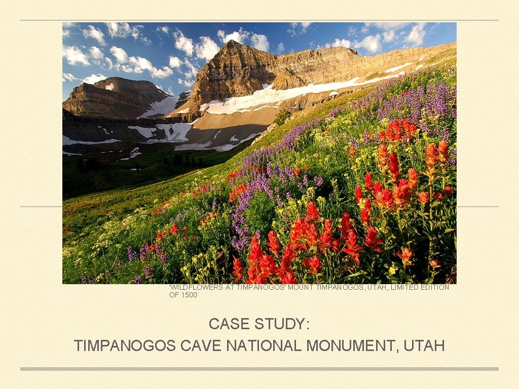 'WILDFLOWERS AT TIMPANOGOS' MOUNT TIMPANOGOS, UTAH, LIMITED EDITION OF 1500 CASE STUDY: TIMPANOGOS CAVE
