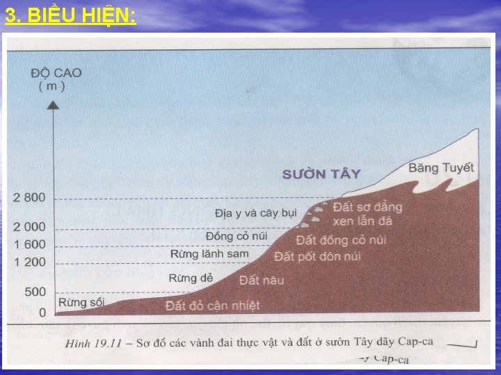 3. BIỂU HIỆN: a. Quy luật đai cao. - Khái niệm: Sự thay đổi