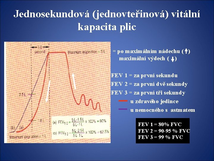 Jednosekundová (jednovteřinová) vitální kapacita plic = po maximálním nádechu ( ) maximální výdech (