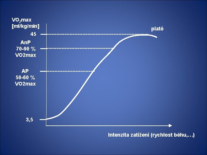 VO 2 max [ml/kg/min] 45 plató An. P 70 -90 % VO 2 max