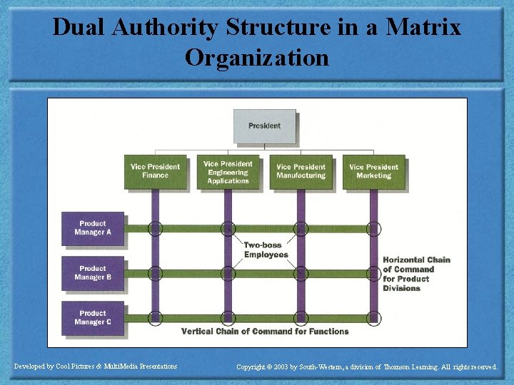 Dual Authority Structure in a Matrix Organization Developed by Cool Pictures & Multi. Media