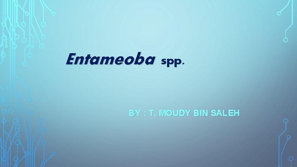 Entameoba spp. BY : T. MOUDY BIN SALEH 