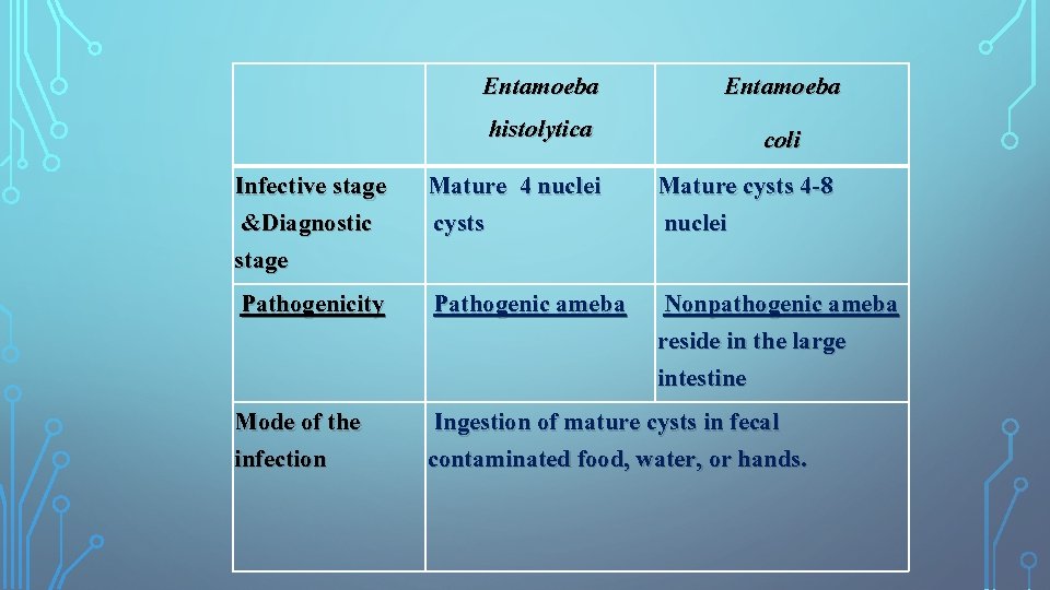 Entameoba Spp By T Moudy Bin Saleh Classification