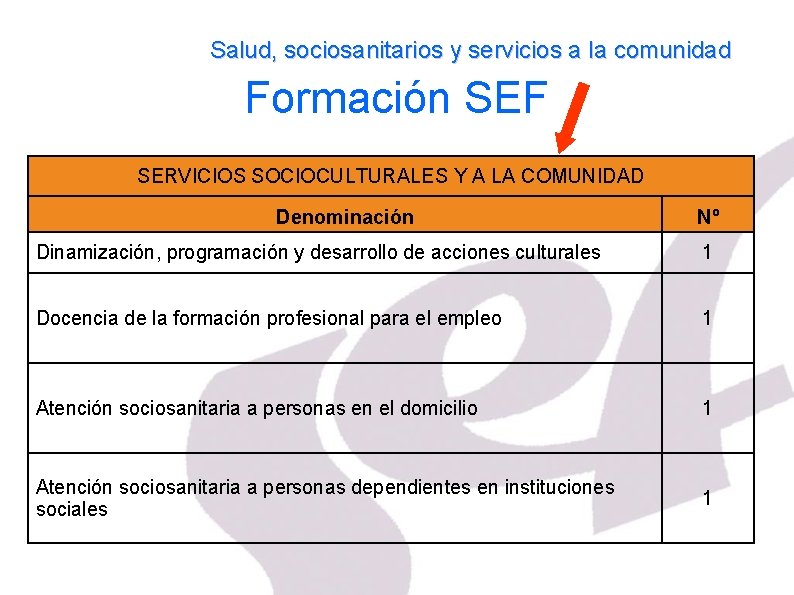 Salud, sociosanitarios y servicios a la comunidad Formación SEF SERVICIOS SOCIOCULTURALES Y A LA