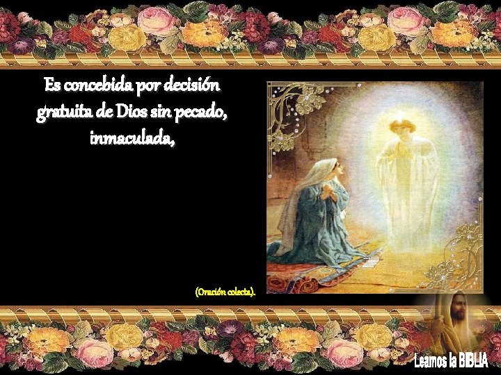 Es concebida por decisión gratuita de Dios sin pecado, inmaculada, (Oración colecta). 