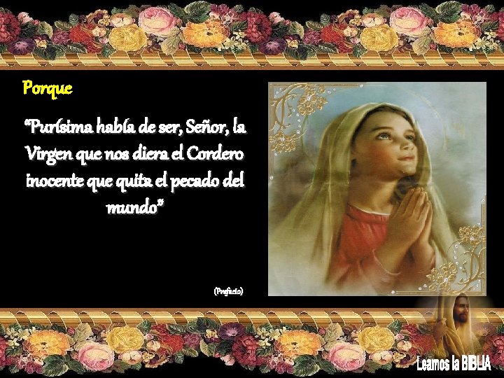 Porque “Purísima había de ser, Señor, la Virgen que nos diera el Cordero inocente