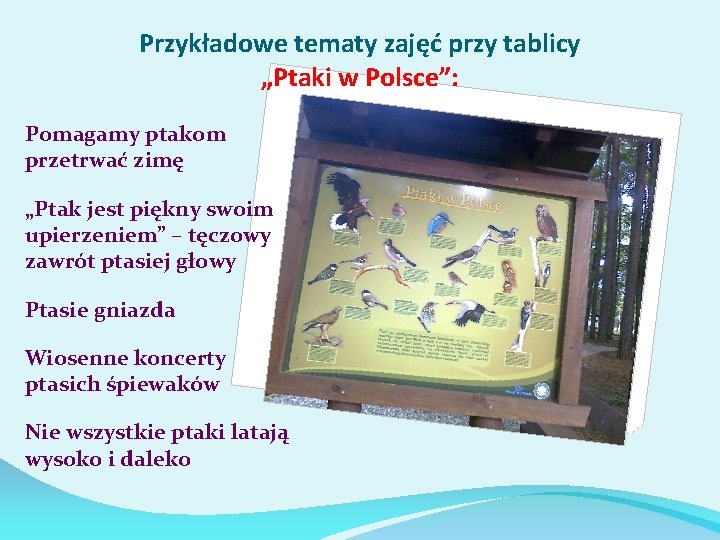 Przykładowe tematy zajęć przy tablicy „Ptaki w Polsce”: Pomagamy ptakom przetrwać zimę „Ptak jest