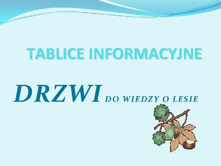 TABLICE INFORMACYJNE DRZWI DO WIEDZY O LESIE 