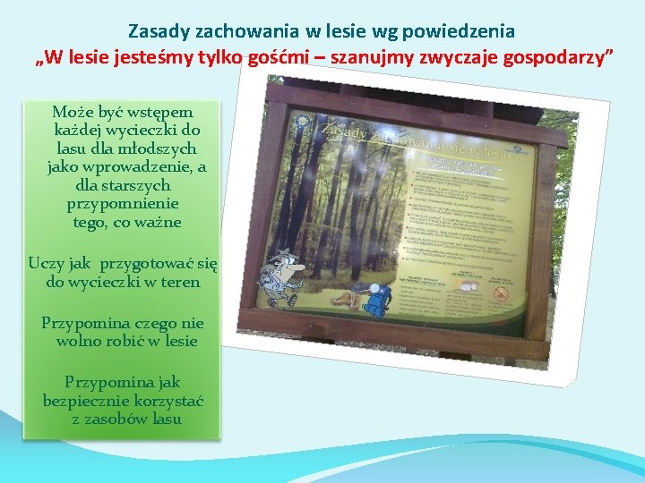 Zasady zachowania w lesie wg powiedzenia „W lesie jesteśmy tylko gośćmi – szanujmy zwyczaje