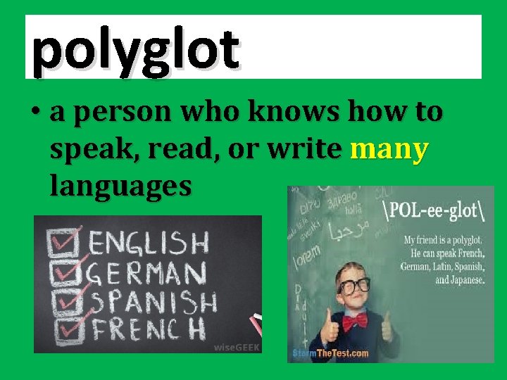 polyglot • a person who knows how to speak, read, or write many languages