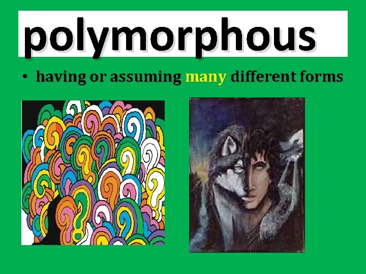 polymorphous • having or assuming many different forms 