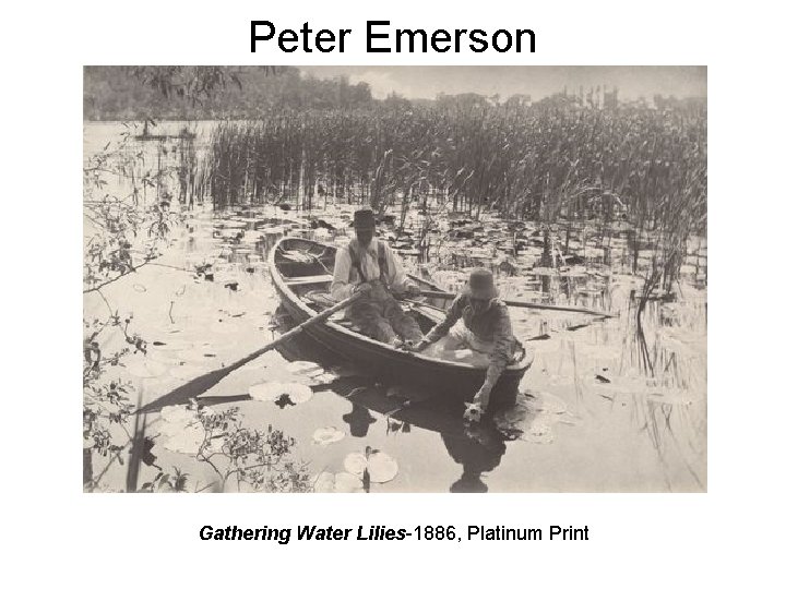 Peter Emerson Gathering Water Lilies-1886, Platinum Print 