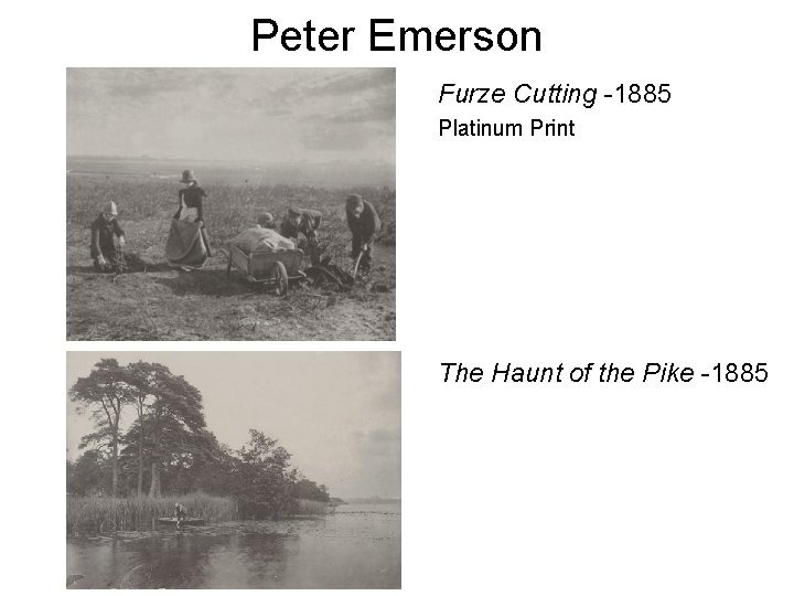 Peter Emerson Furze Cutting -1885 Platinum Print The Haunt of the Pike -1885 