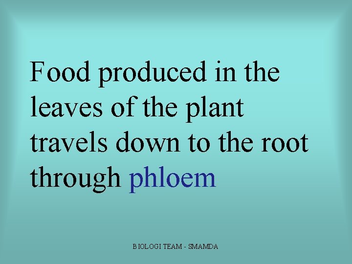 Food produced in the leaves of the plant travels down to the root through Food produced in the leaves of the plant travels down to the root through