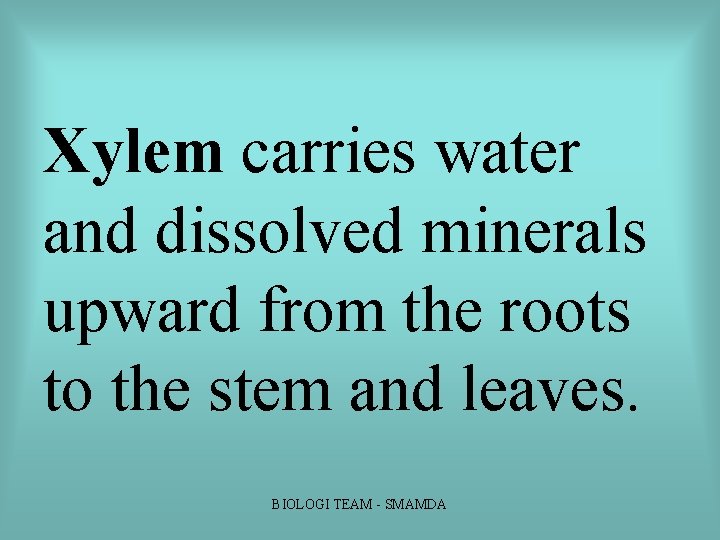 Xylem carries water and dissolved minerals upward from the roots to the stem and Xylem carries water and dissolved minerals upward from the roots to the stem and