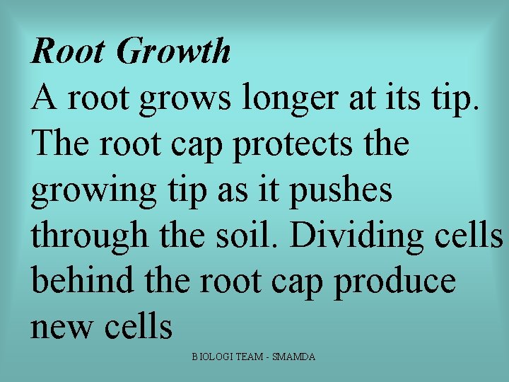 Root Growth A root grows longer at its tip. The root cap protects the Root Growth A root grows longer at its tip. The root cap protects the