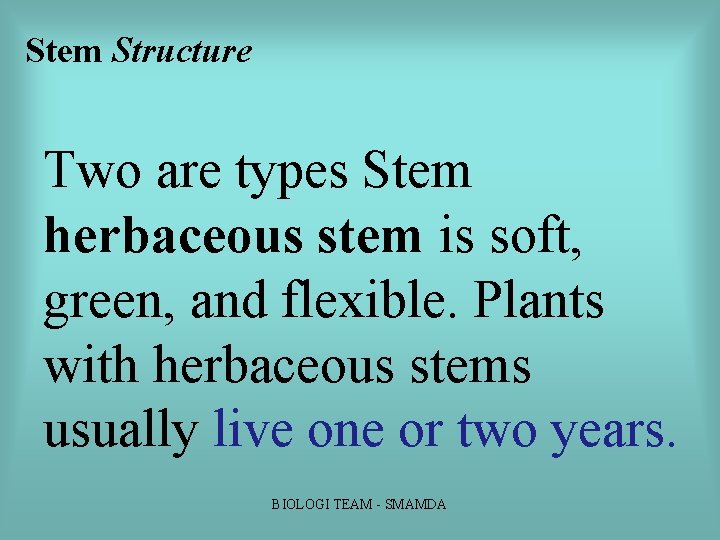 Stem Structure Two are types Stem herbaceous stem is soft, green, and flexible. Plants Stem Structure Two are types Stem herbaceous stem is soft, green, and flexible. Plants