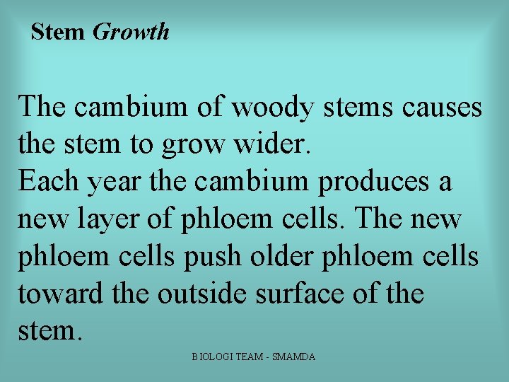 Stem Growth The cambium of woody stems causes the stem to grow wider. Each Stem Growth The cambium of woody stems causes the stem to grow wider. Each