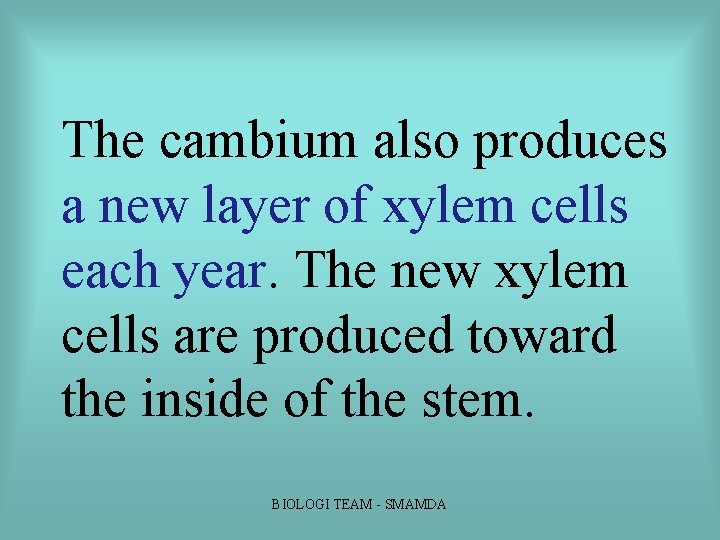 The cambium also produces a new layer of xylem cells each year. The new The cambium also produces a new layer of xylem cells each year. The new