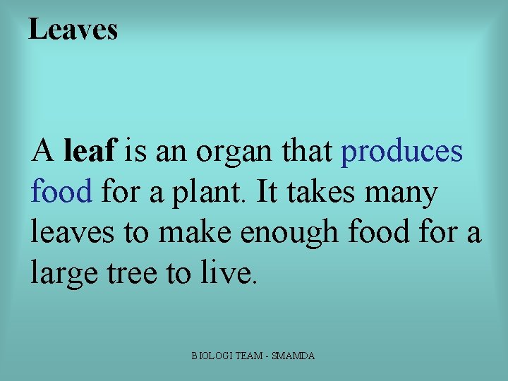 Leaves A leaf is an organ that produces food for a plant. It takes Leaves A leaf is an organ that produces food for a plant. It takes