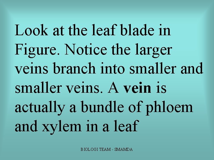 Look at the leaf blade in Figure. Notice the larger veins branch into smaller Look at the leaf blade in Figure. Notice the larger veins branch into smaller