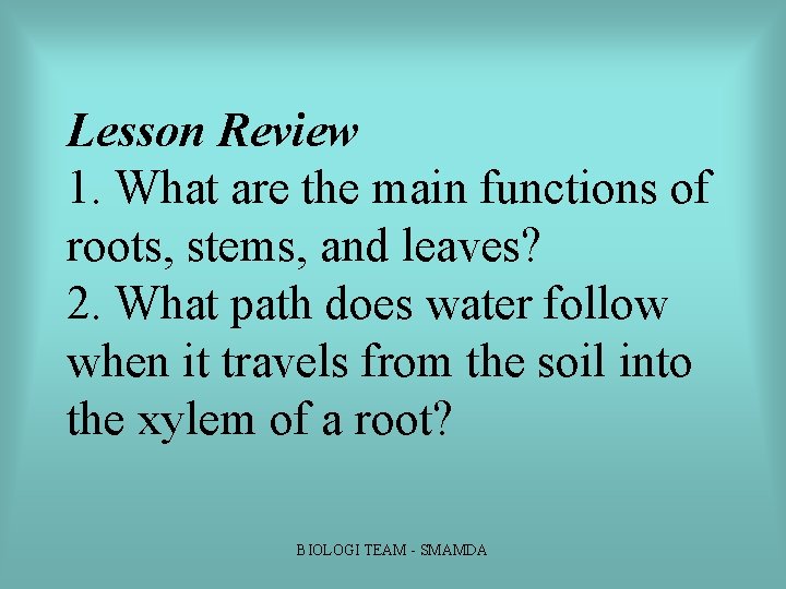 Lesson Review 1. What are the main functions of roots, stems, and leaves? 2. Lesson Review 1. What are the main functions of roots, stems, and leaves? 2.