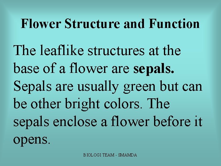 Flower Structure and Function The leaflike structures at the base of a flower are Flower Structure and Function The leaflike structures at the base of a flower are