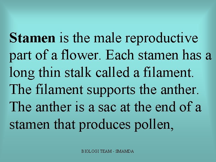 Stamen is the male reproductive part of a flower. Each stamen has a long Stamen is the male reproductive part of a flower. Each stamen has a long