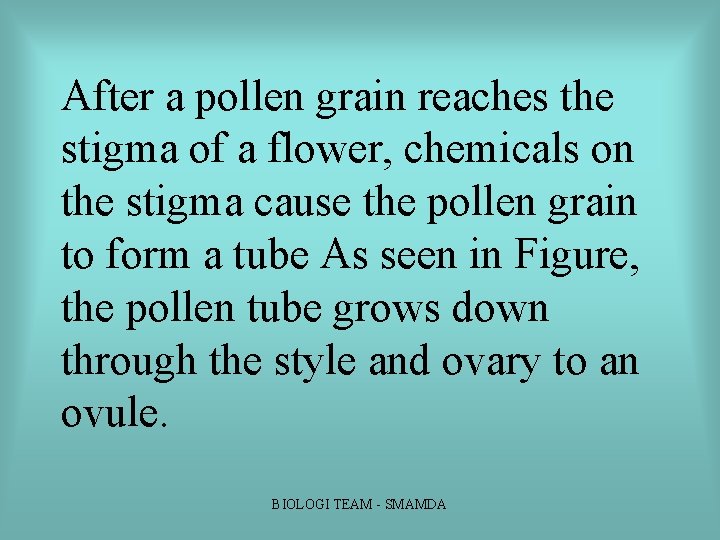 After a pollen grain reaches the stigma of a flower, chemicals on the stigma After a pollen grain reaches the stigma of a flower, chemicals on the stigma