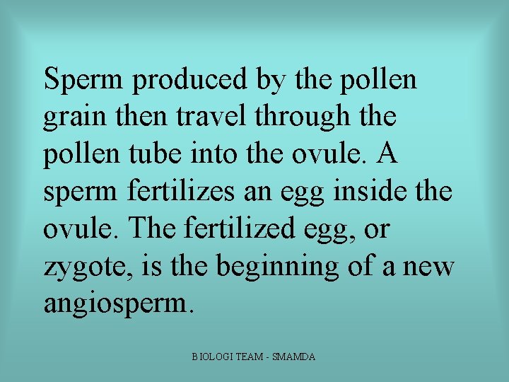 Sperm produced by the pollen grain then travel through the pollen tube into the Sperm produced by the pollen grain then travel through the pollen tube into the