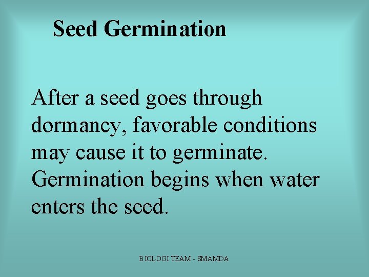 Seed Germination After a seed goes through dormancy, favorable conditions may cause it to Seed Germination After a seed goes through dormancy, favorable conditions may cause it to