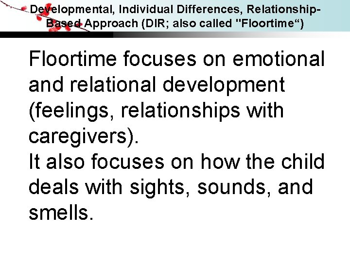 Developmental, Individual Differences, Relationship. Based Approach (DIR; also called "Floortime“) Floortime focuses on emotional