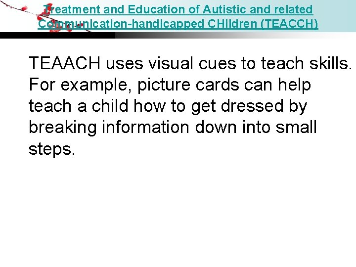 Treatment and Education of Autistic and related Communication-handicapped CHildren (TEACCH) TEAACH uses visual cues