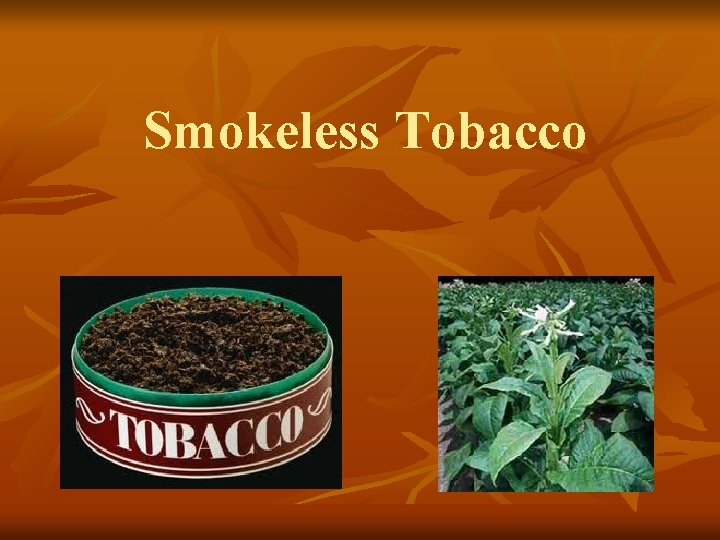 Smokeless Tobacco 