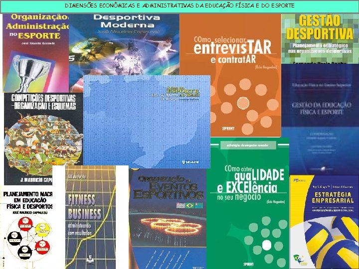 DIMENSÕES ECONÔMICAS E ADMINISTRATIVAS DA EDUCAÇÃO FÍSICA E DO ESPORTE 