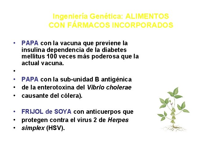 Ingeniería Genética: ALIMENTOS CON FÁRMACOS INCORPORADOS • PAPA con la vacuna que previene la