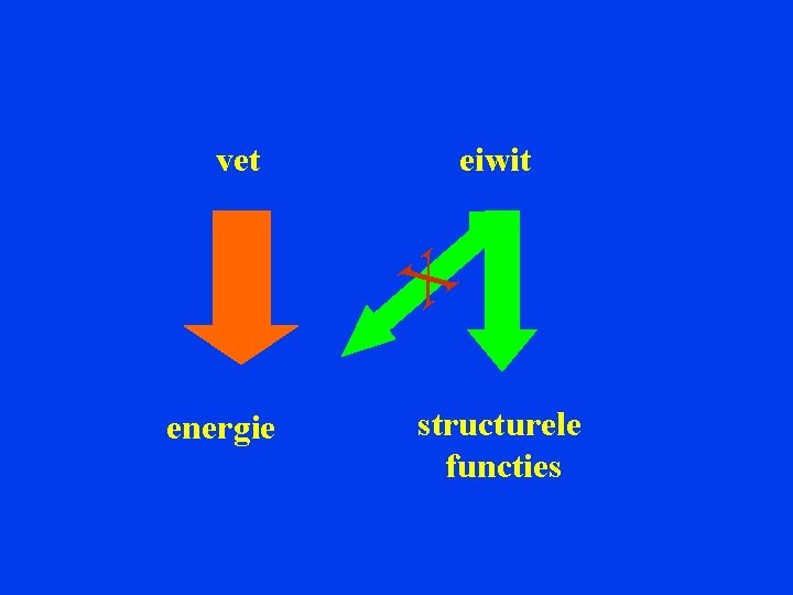 vet eiwit X energie structurele functies 