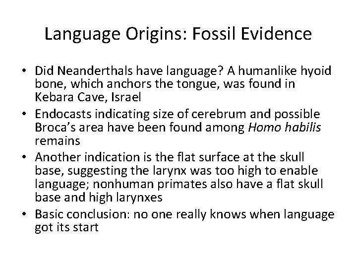 Language Origins: Fossil Evidence • Did Neanderthals have language? A humanlike hyoid bone, which