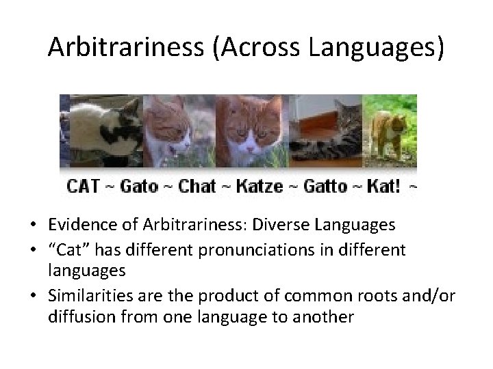 Arbitrariness (Across Languages) • Evidence of Arbitrariness: Diverse Languages • “Cat” has different pronunciations