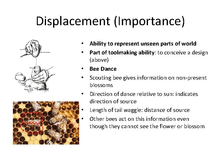 Displacement (Importance) • Ability to represent unseen parts of world • Part of toolmaking