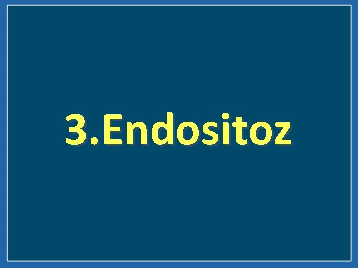 3. Endositoz 