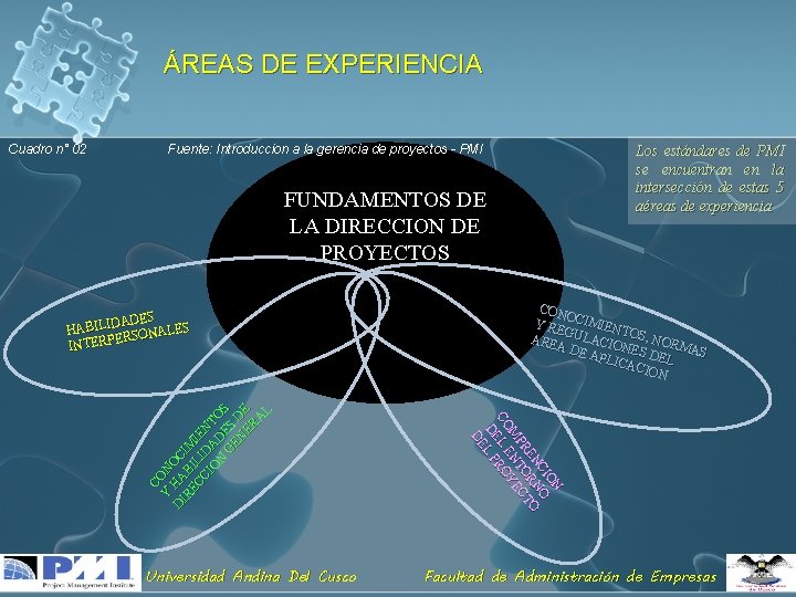 ÁREAS DE EXPERIENCIA Cuadro n° 02 Fuente: Introduccion a la gerencia de proyectos -