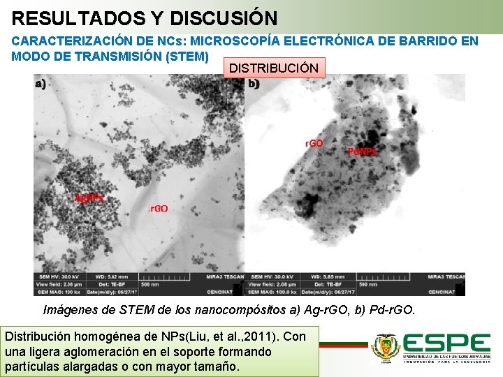 RESULTADOS Y DISCUSIÓN CARACTERIZACIÓN DE NCs: MICROSCOPÍA ELECTRÓNICA DE BARRIDO EN MODO DE TRANSMISIÓN