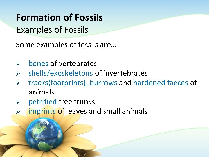 Formation of Fossils Examples of Fossils Some examples of fossils are… Ø Ø Ø Formation of Fossils Examples of Fossils Some examples of fossils are… Ø Ø Ø