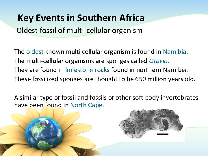 Key Events in Southern Africa Oldest fossil of multi-cellular organism The oldest known multi Key Events in Southern Africa Oldest fossil of multi-cellular organism The oldest known multi