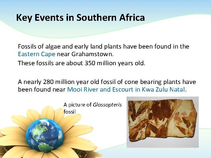 Key Events in Southern Africa Fossils of algae and early land plants have been Key Events in Southern Africa Fossils of algae and early land plants have been