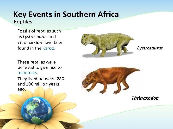 Key Events in Southern Africa Reptiles Fossils of reptiles such as Lystrosaurus and Thrinaxodon Key Events in Southern Africa Reptiles Fossils of reptiles such as Lystrosaurus and Thrinaxodon