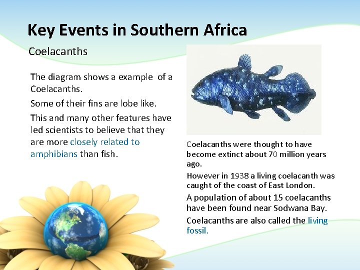 Key Events in Southern Africa Coelacanths The diagram shows a example of a Coelacanths. Key Events in Southern Africa Coelacanths The diagram shows a example of a Coelacanths.